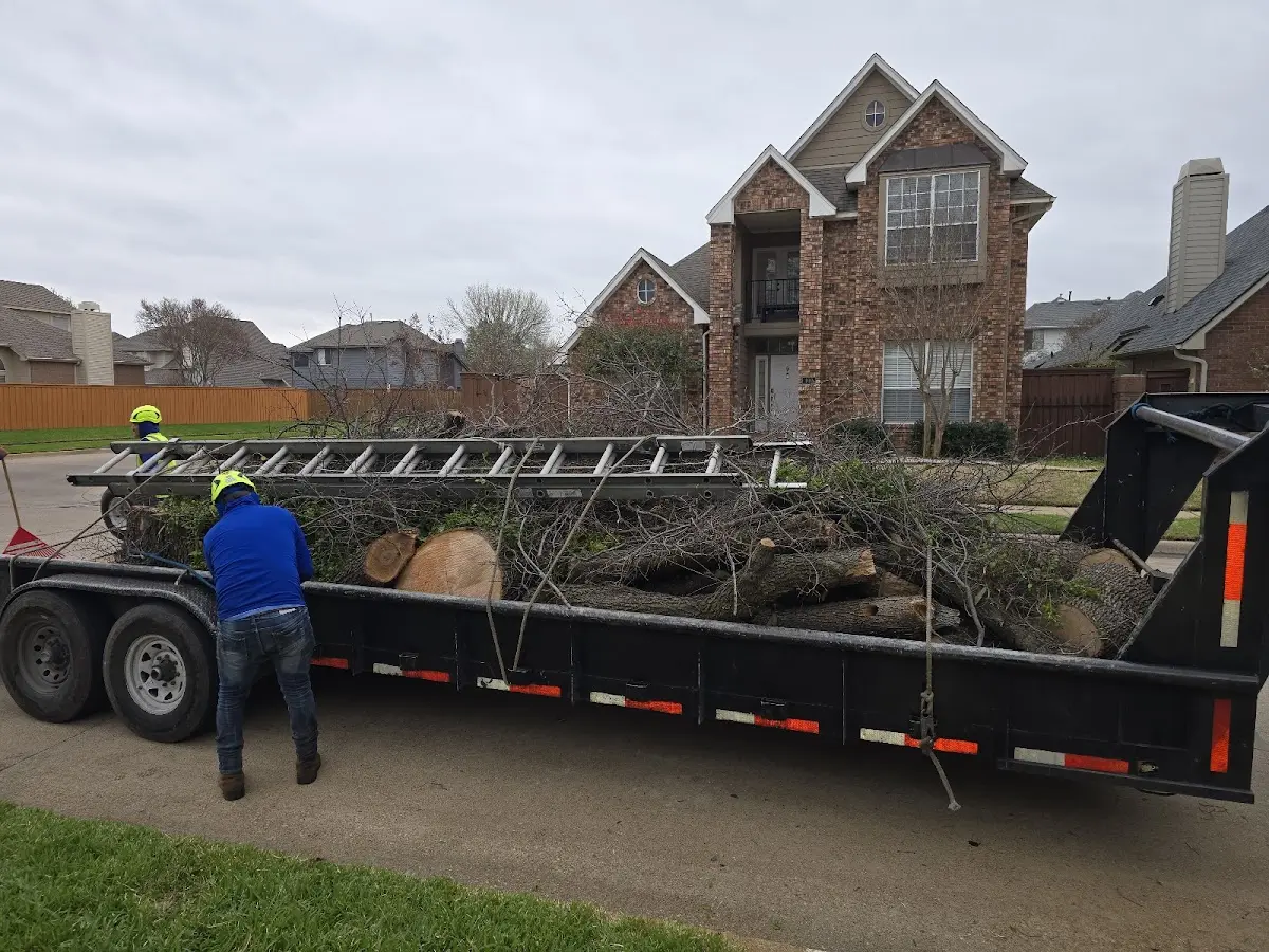 Expert Tree Fertilization with proper safety equipment in Copper City